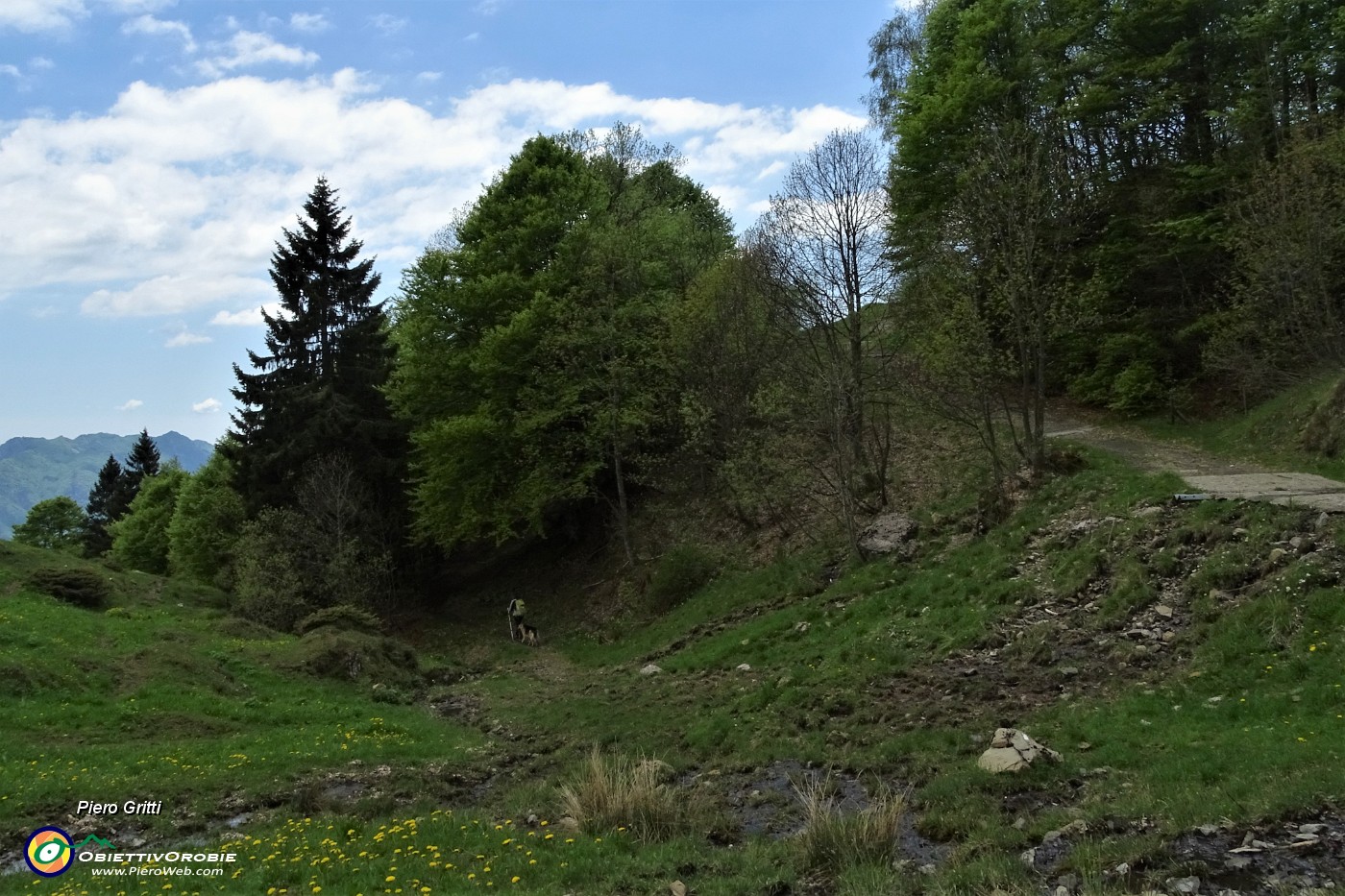90 Scendendo dal vecchio sentiero 510 qui prendiamo a sx nel bosco.JPG